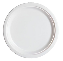 11 Inch Plain Round Plate