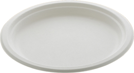 9 Inch Plain Round Plate