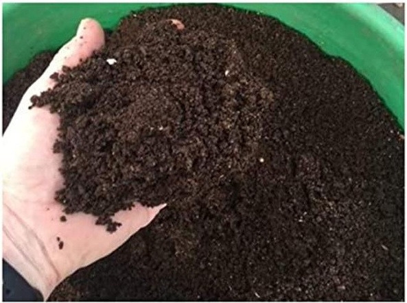 Vermi Compost